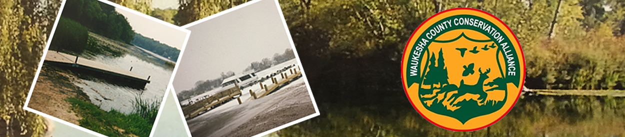 Untitled Header Image