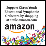 link to support CYESO when shopping amazon.com